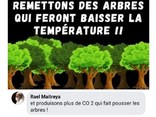 replantons des arbres