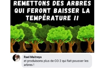 replantons des arbres